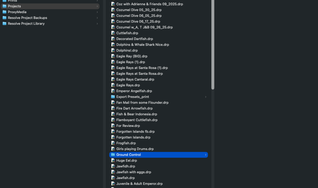 DaVinci missing files.png